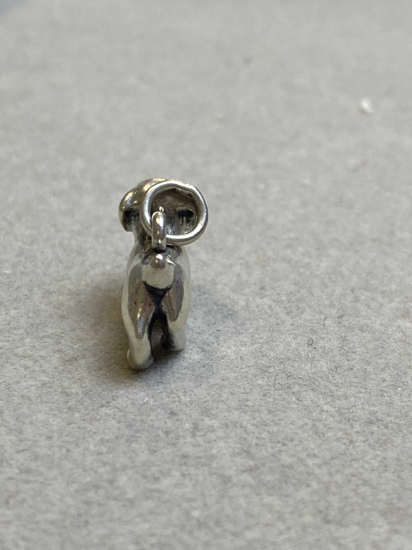 Puppy Charm