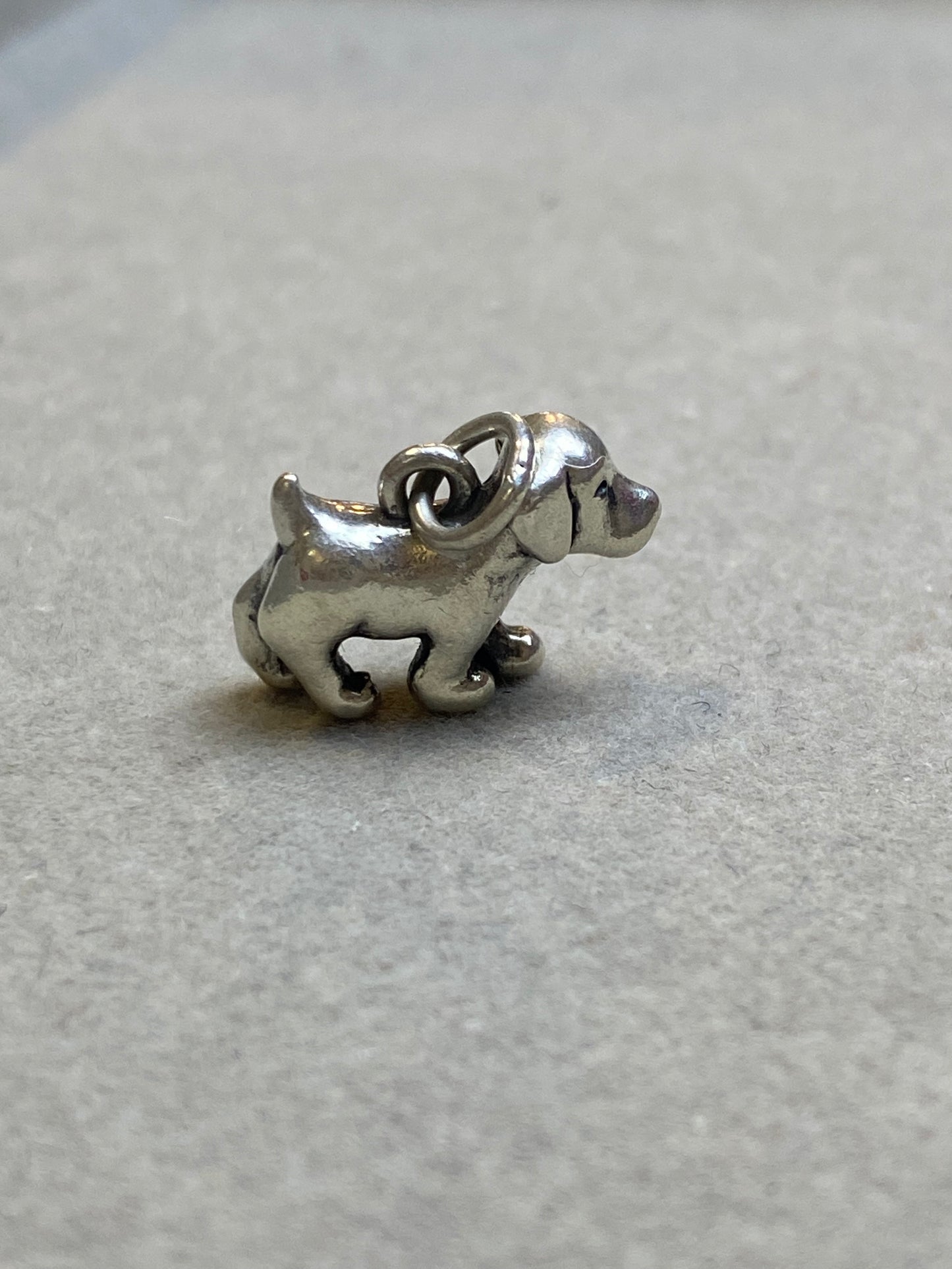 Puppy Charm