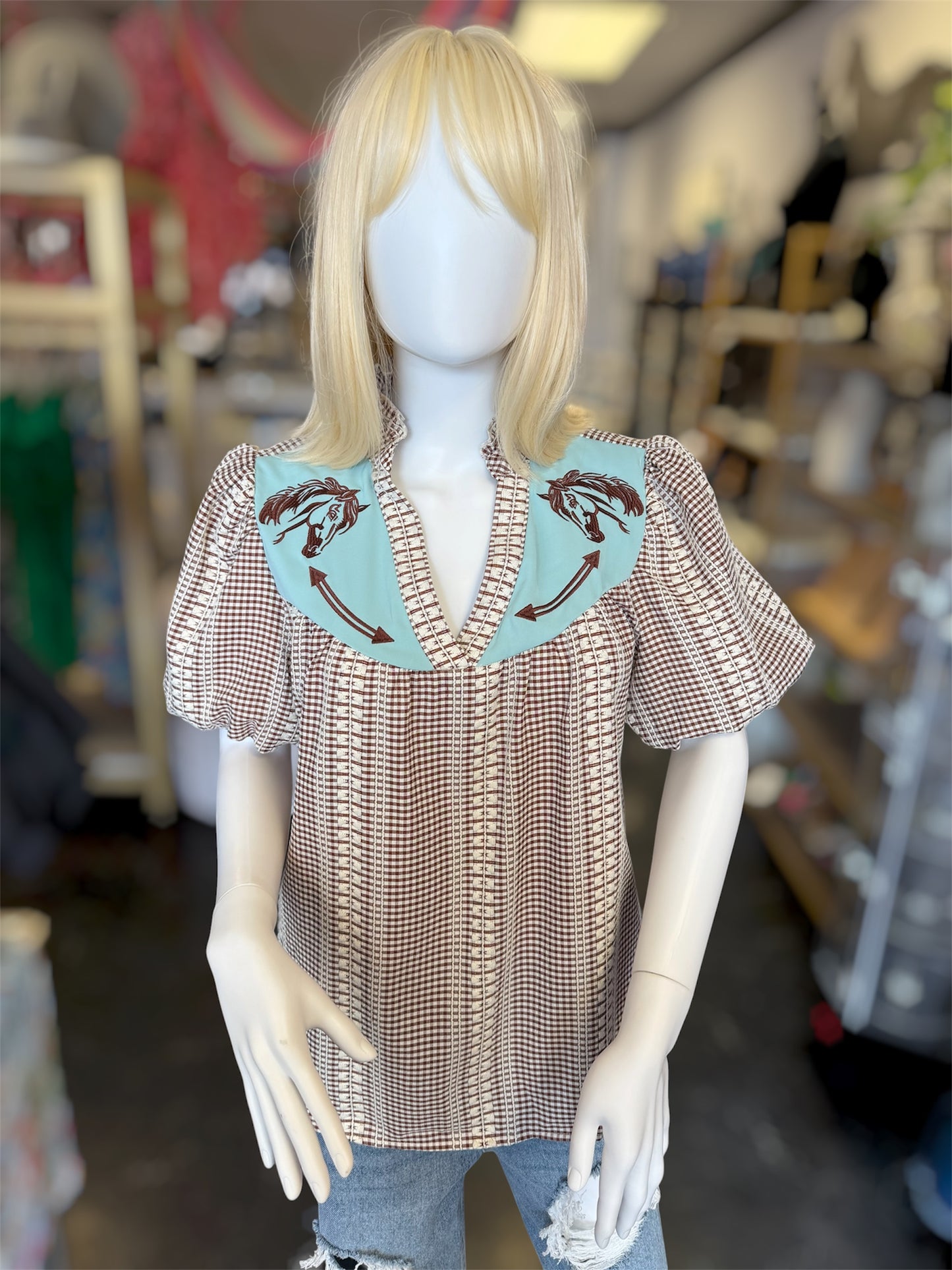 Westa Brown & Blue Embroidered Blouse