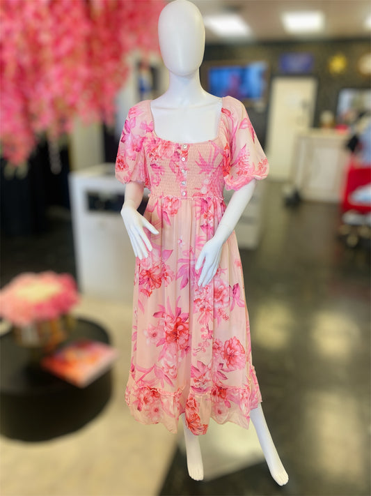 Elenor Rose Pink Tea Maxi Dress