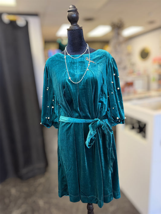 Emerald City Velvet Pearl Balloon Sleeve Dress