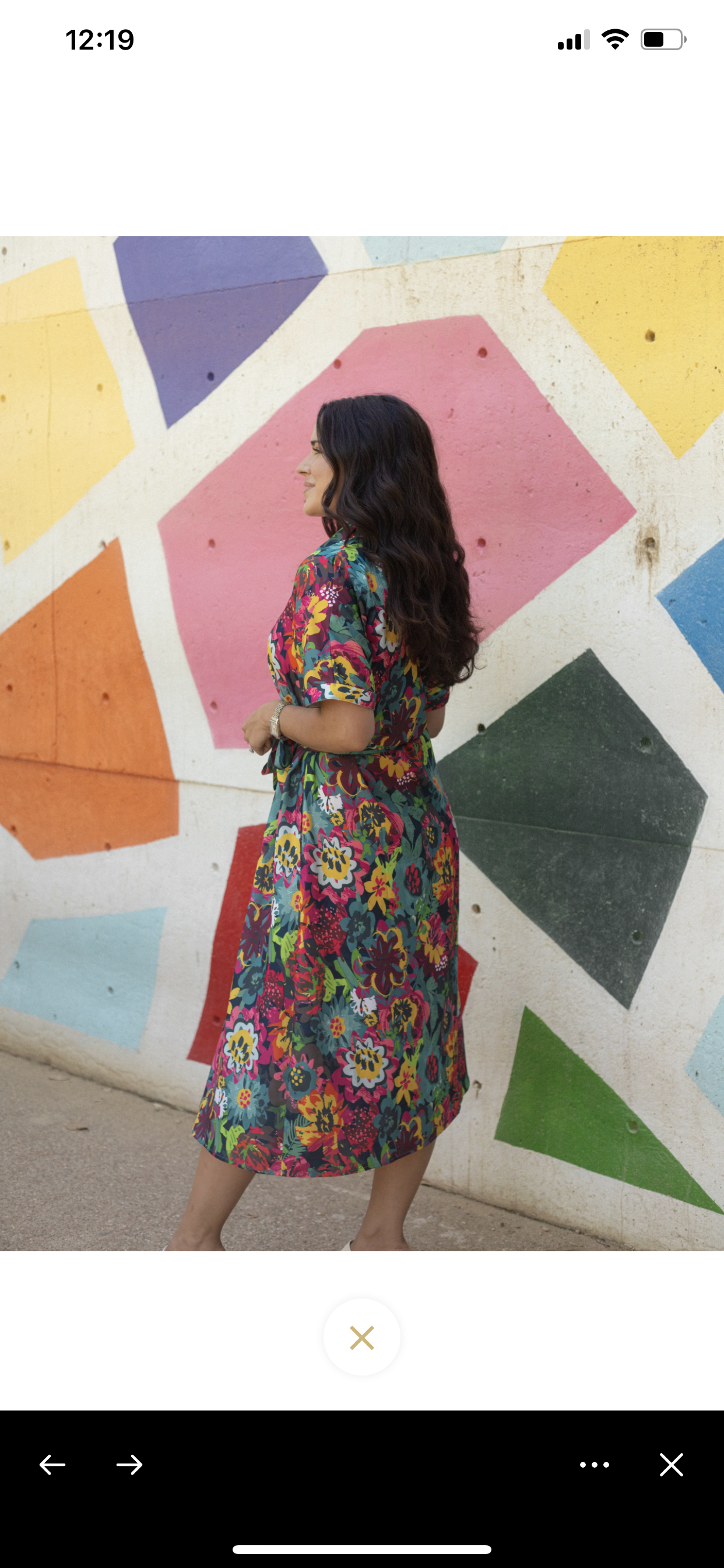 Vanessa Dress